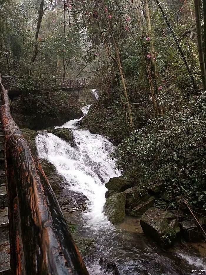 漫山古木森幽,四季如春,清泉長流--遊玉笥山