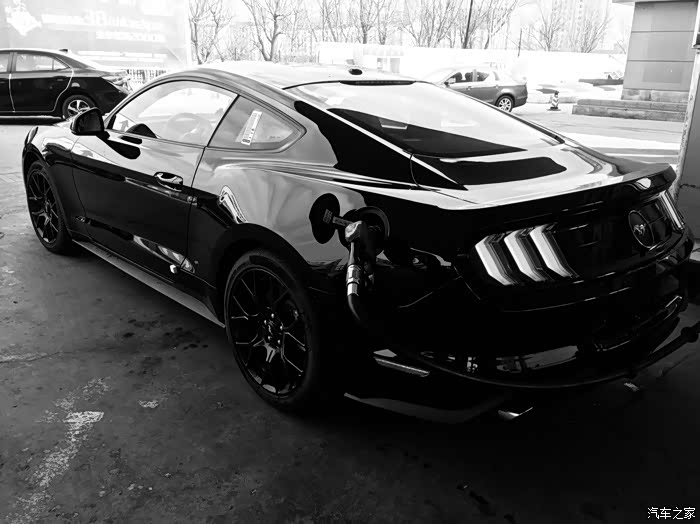 mustangblack只有黑色的你才最野马