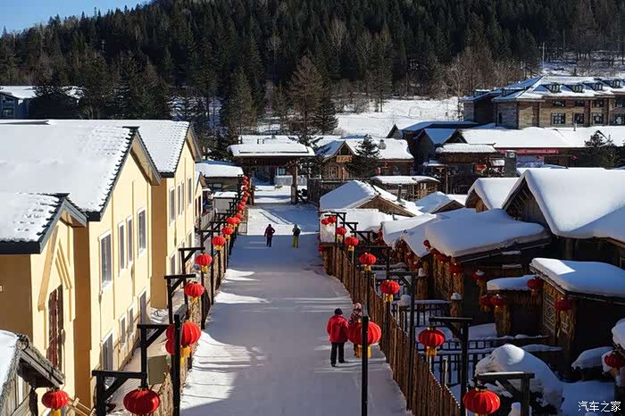 雪乡如同梦幻一般美丽,带虎八在北方长见识