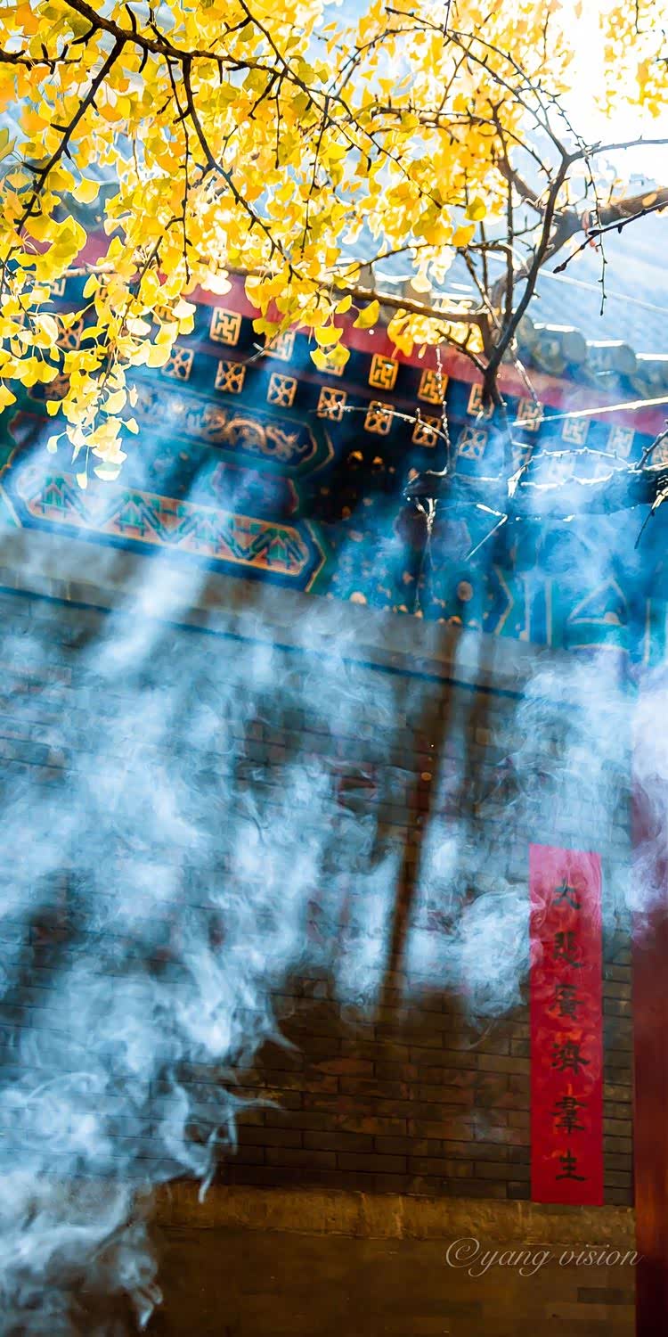 袅袅青烟起,片片黄金叶 ,这就是大悲寺的秋天!