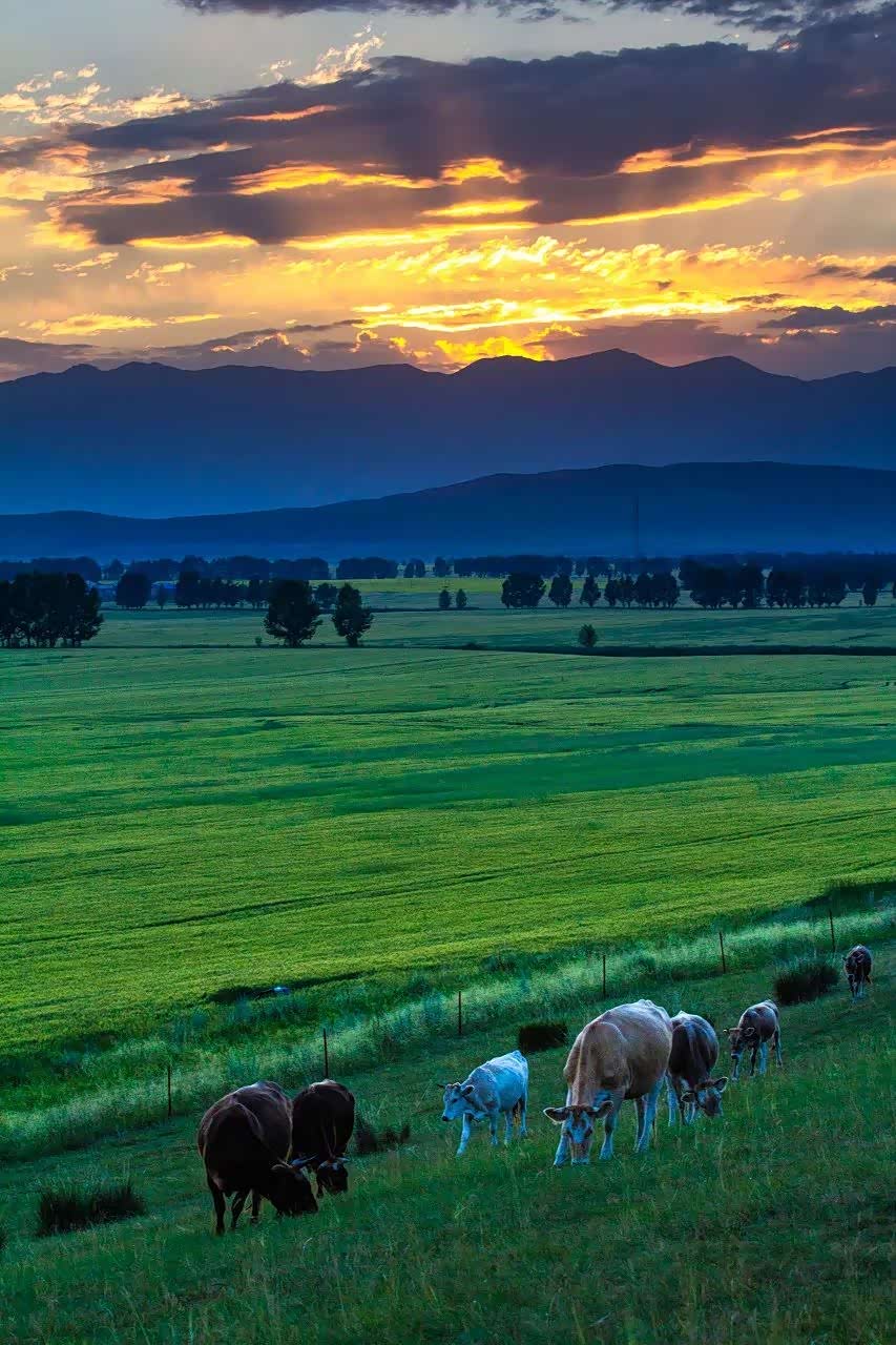 新疆的风景壮观又特别,一个去了就不想回来的地方_艾康尼克七系论坛_