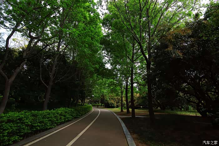 【深圳长安车友会】192网中鱼-城市的意境流塘公园