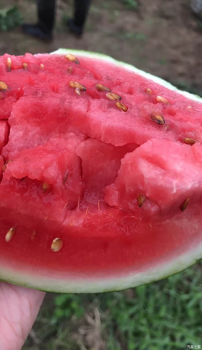 脆西瓜,可谓是我的最爱