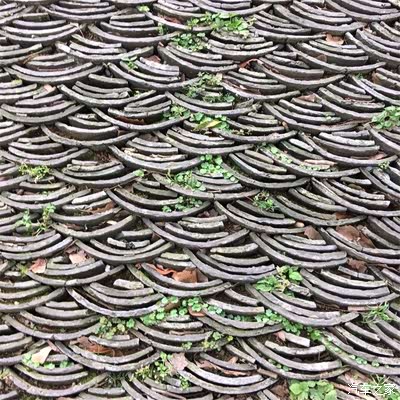 雨天来看更漂亮,整堵墙都是用老房子房顶用的瓦片拼成的