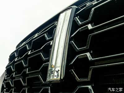 立体而优雅的竖形车标.