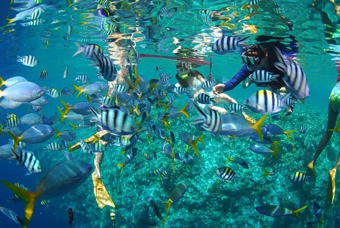 塞班岛海底潜伏 跟可爱的鱼虾亲密接触