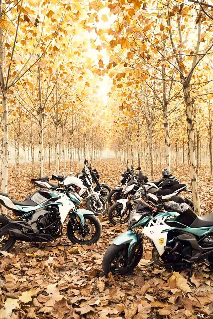 深秋摩托车黄叶骑士林间小道