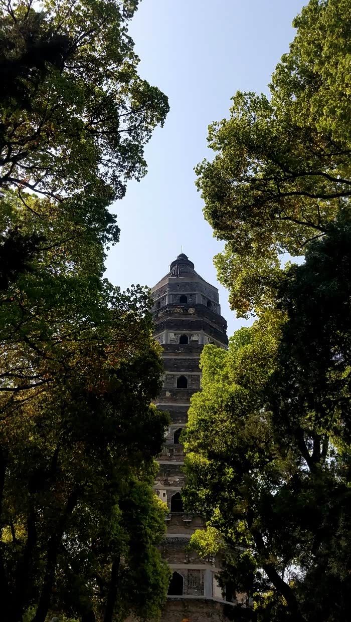 假日游虎丘中国的比萨斜塔