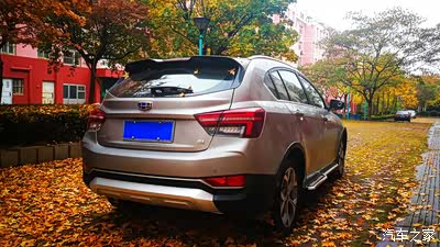 【热爱的我们】满庭尽铺黄金叶_远景s1论坛_手机汽车之家