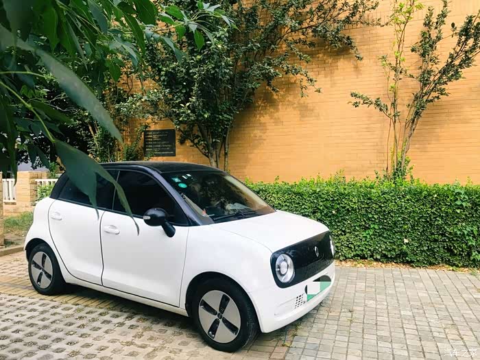 呆萌又实用我的功夫熊猫欧拉r1