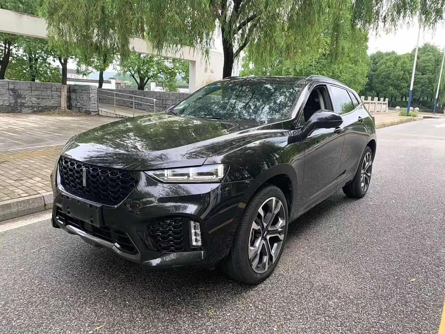 外观大气上档次的weyvv7