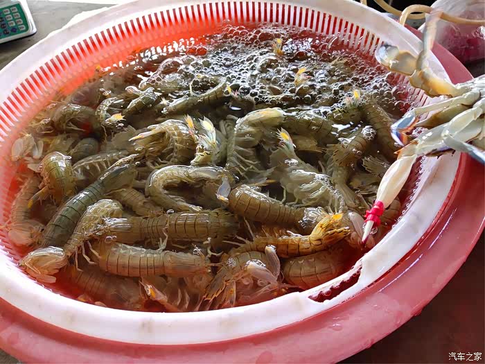 吉林市长安车友会长途自驾游之锦州品尝最鲜活的海鲜
