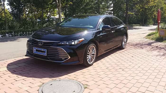 黑棕亚洲龙,我的满意度,我的评分—— 切勿对号入座