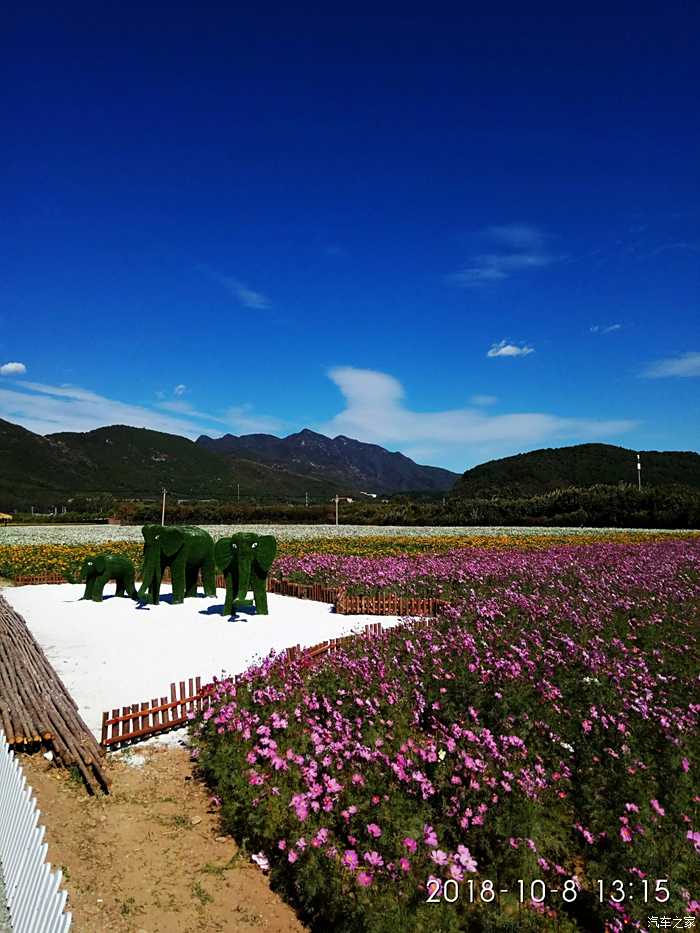 去聖泉山看藍天享受好空氣還能看花海