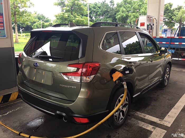 21款森林人颜色选择困难症