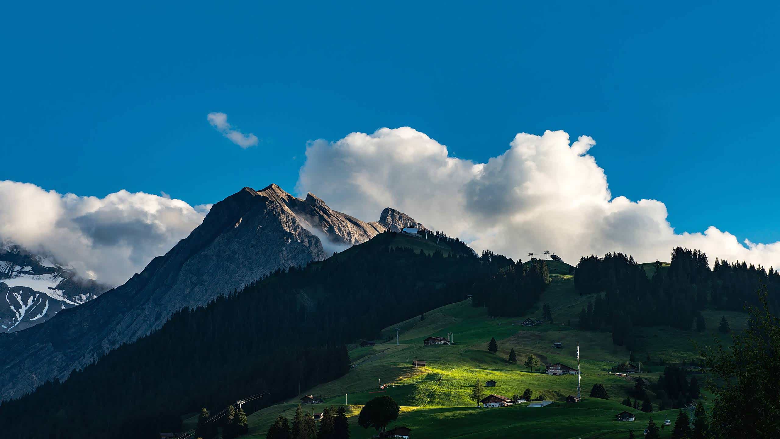 人间仙境莫过于此景色吧.