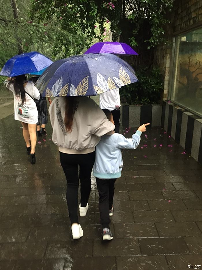 我的wey我做主之雨天漫步动物园