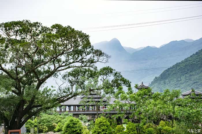 阳山秤架河谷的峡天下洗肺之旅多图长帖