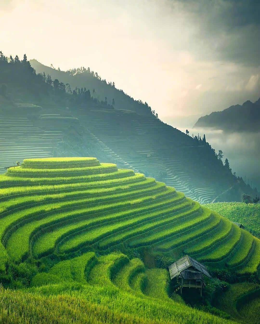 越南的山水梯田,真美.