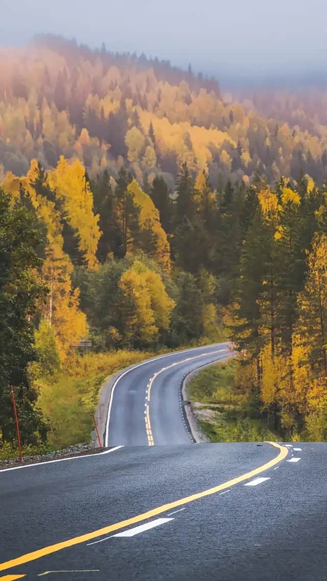 我会在终点一直等着你,等着你欣赏完沿途的风景.