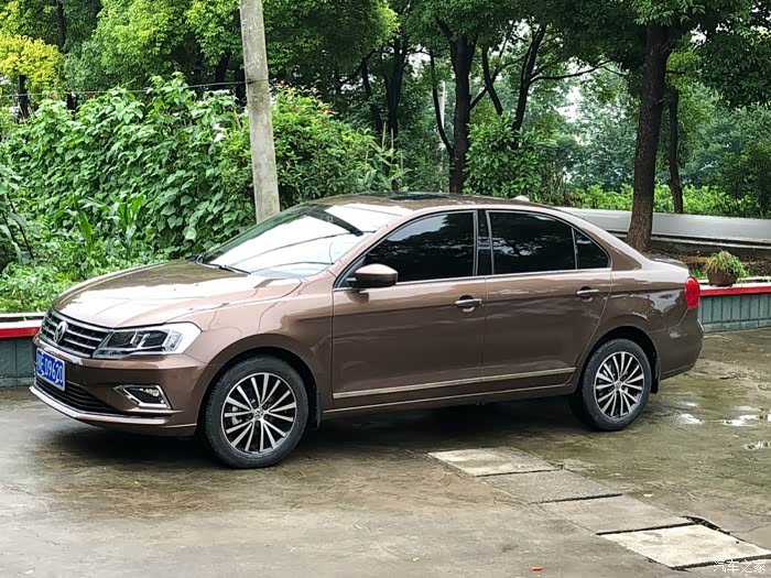 捷达胡桃棕求图