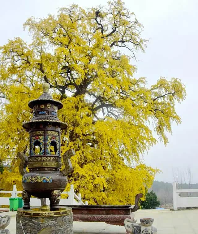 镇平菩提寺是河南唯一一座园林式寺院