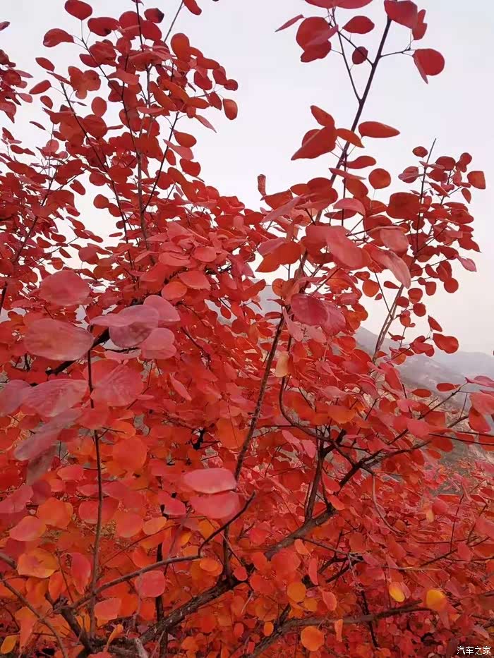 我的青春时代有你陪我-荣威ei5