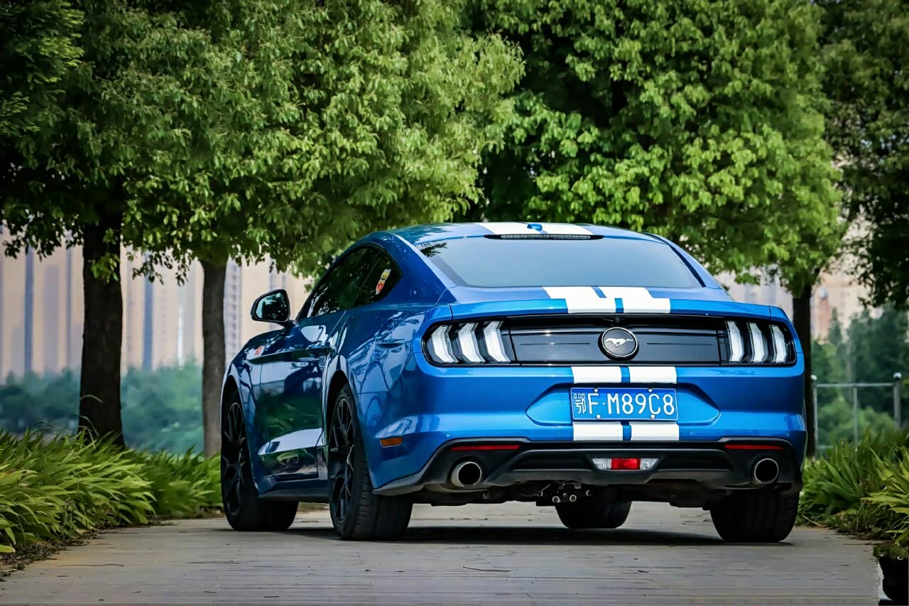 福特野马最具动感的车型之一