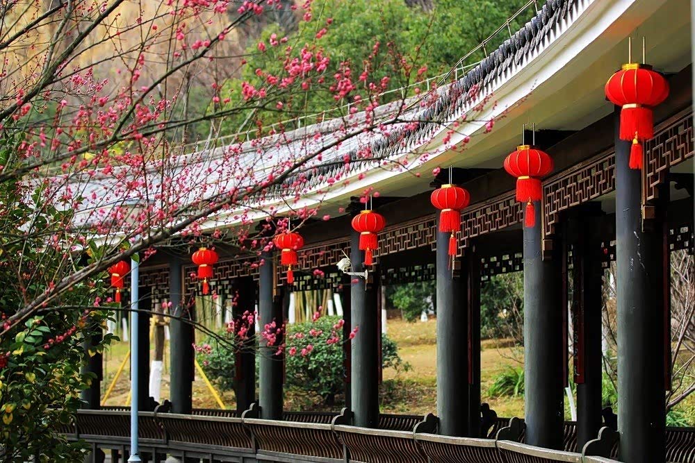 云游温州杨府山公园绿树成荫鸟语花香