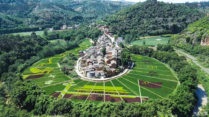 宜良马蹄湾彩色水稻田