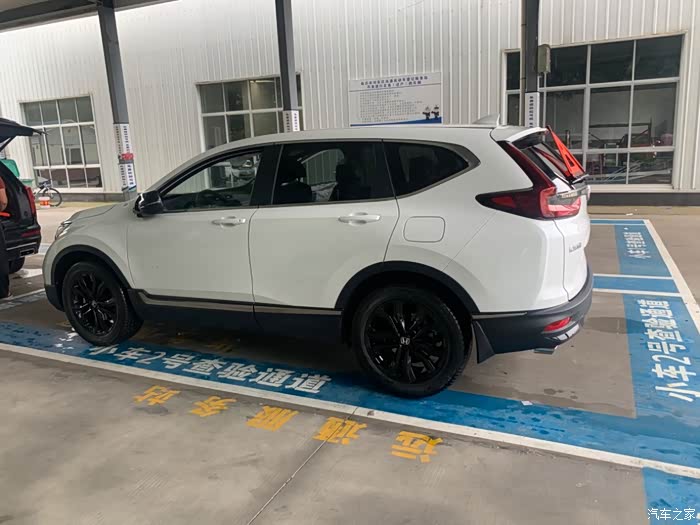 黑爵士白色已提