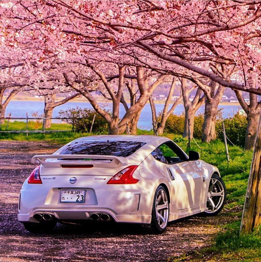日产小跑370z,看起来不错.