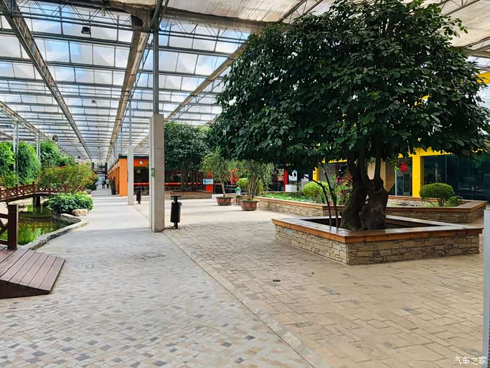 室内公园赏温室花朵