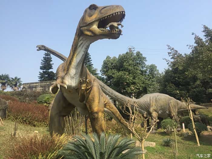 游自贡恐龙博物管