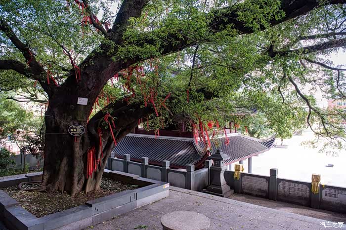 仙佛到场--武平县狮岩山