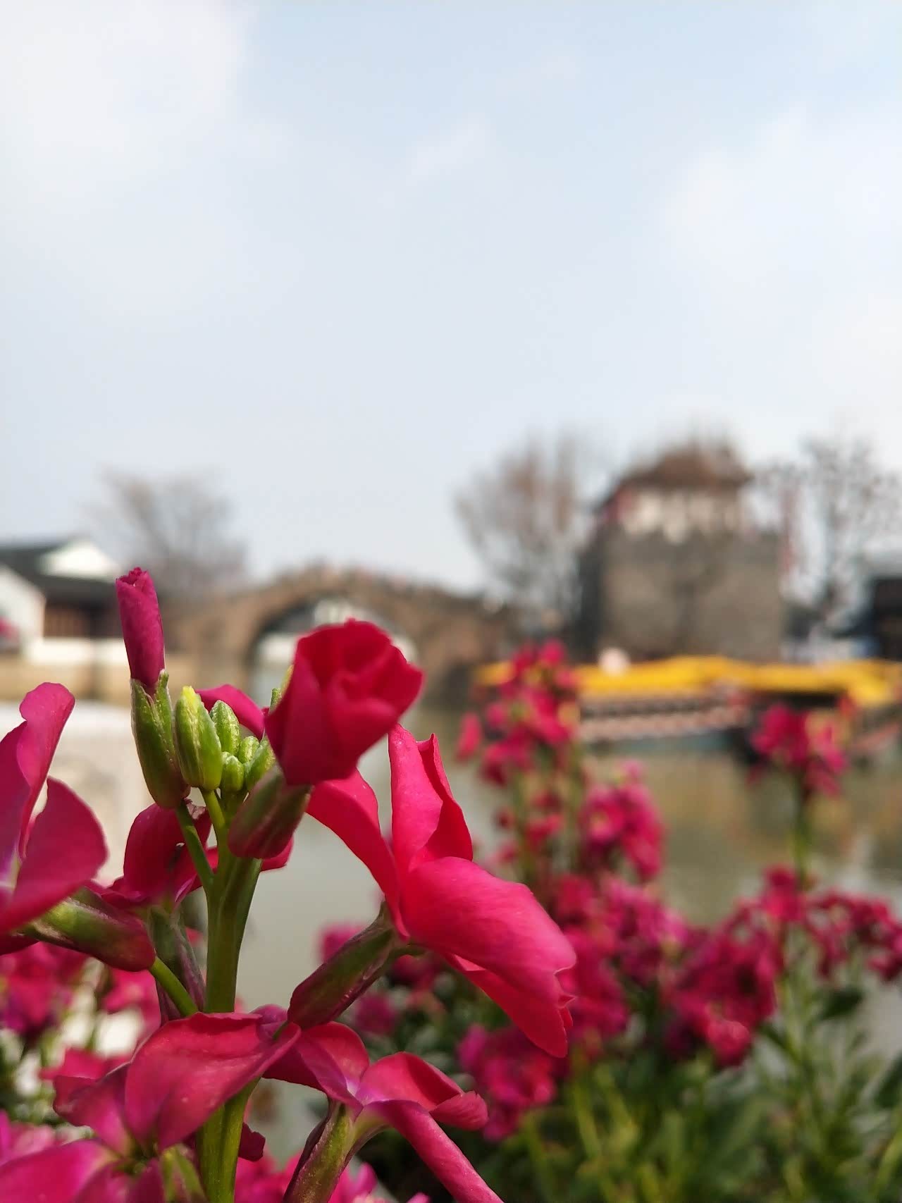 趁着青春去旅行,不负青春不负君.