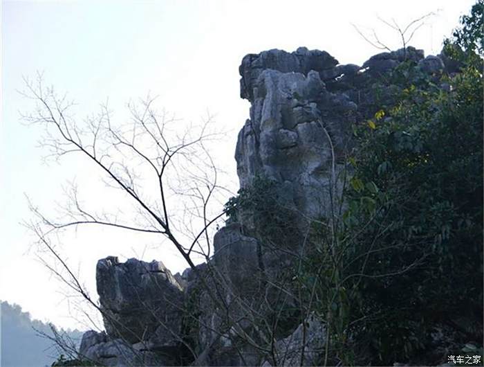 【圖】走進世界最大的天然盆景園——小元陪我遊常山三衢石林_自駕遊