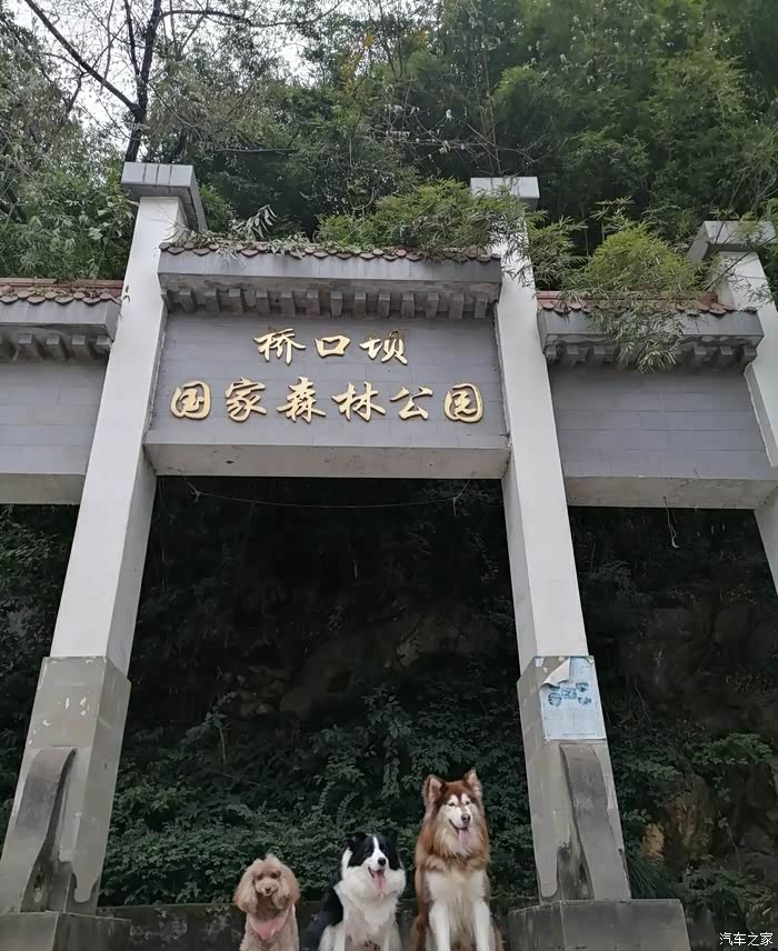 和沃尔沃s60l自驾游桥口坝