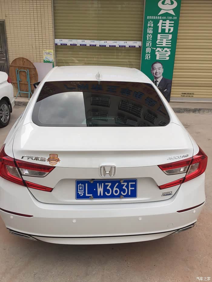 广东惠州提精英白