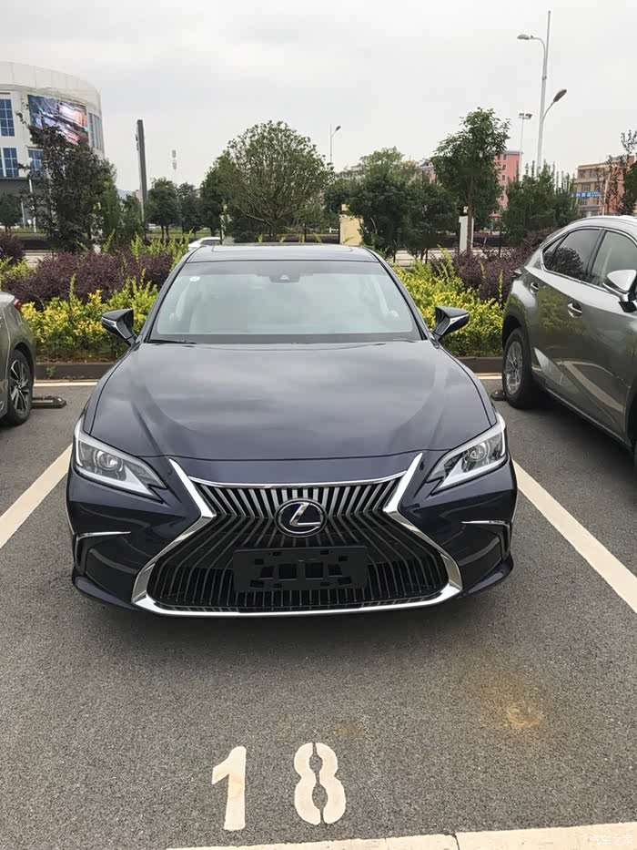 购买的es300h卓越版到店了