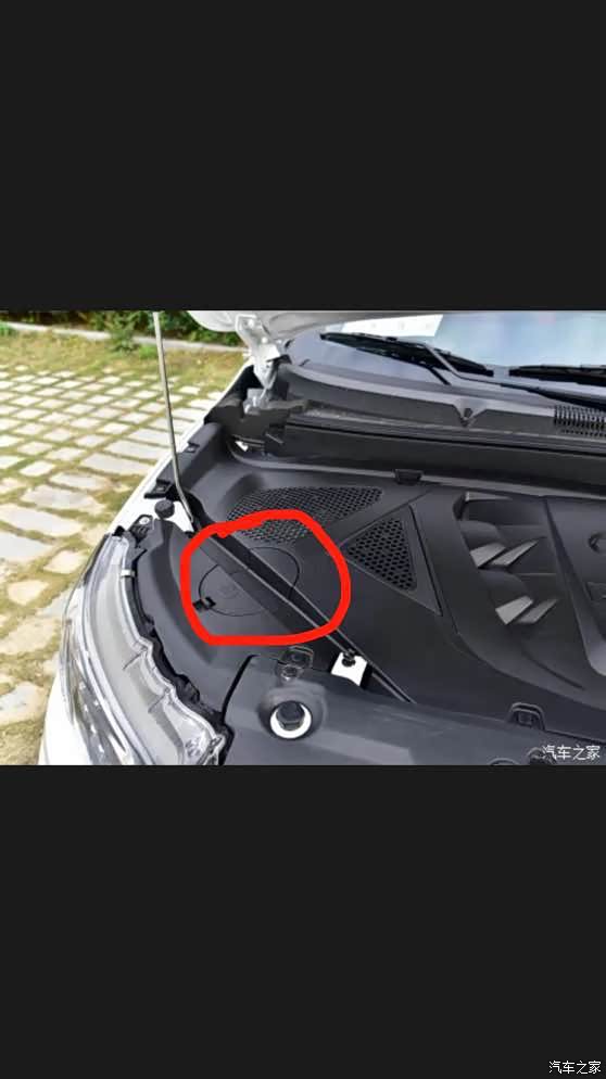 【图】请问玻璃水在发动机舱里哪个位置加_东南dx3论坛_汽车之家论坛