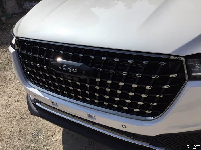 车标也普通众泰车标改换成英文棒棒