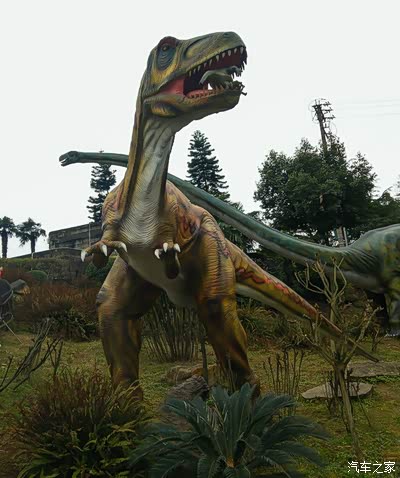 中意自驾《寻找年味》新年自驾四川,重庆游记 (下)