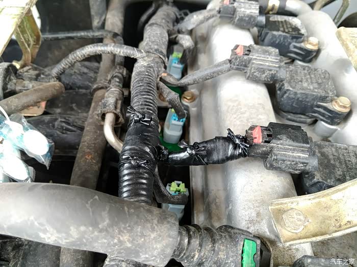 【图】老鼠咬线_迈威论坛_汽车之家论坛