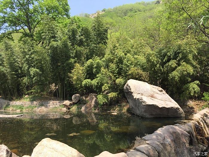 魯山國家森林公園我和小五來看你了森林裡的樹都在幾十年以上