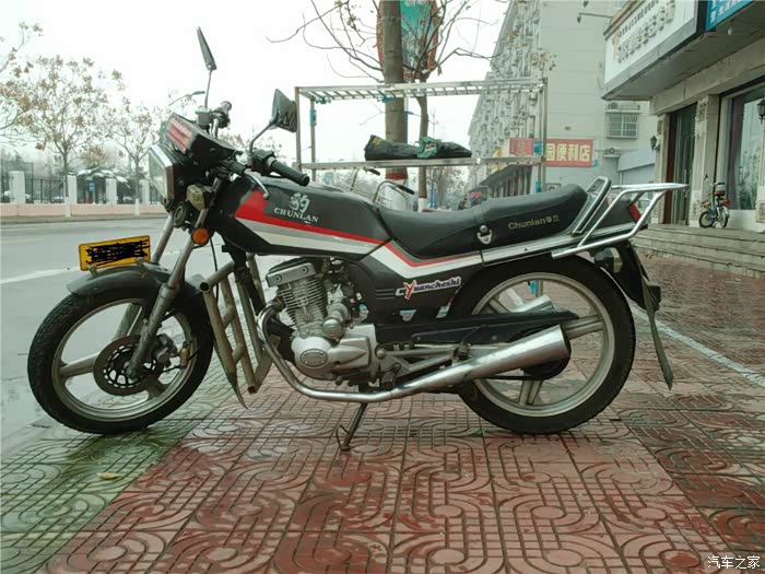 春兰豹,高仿的.