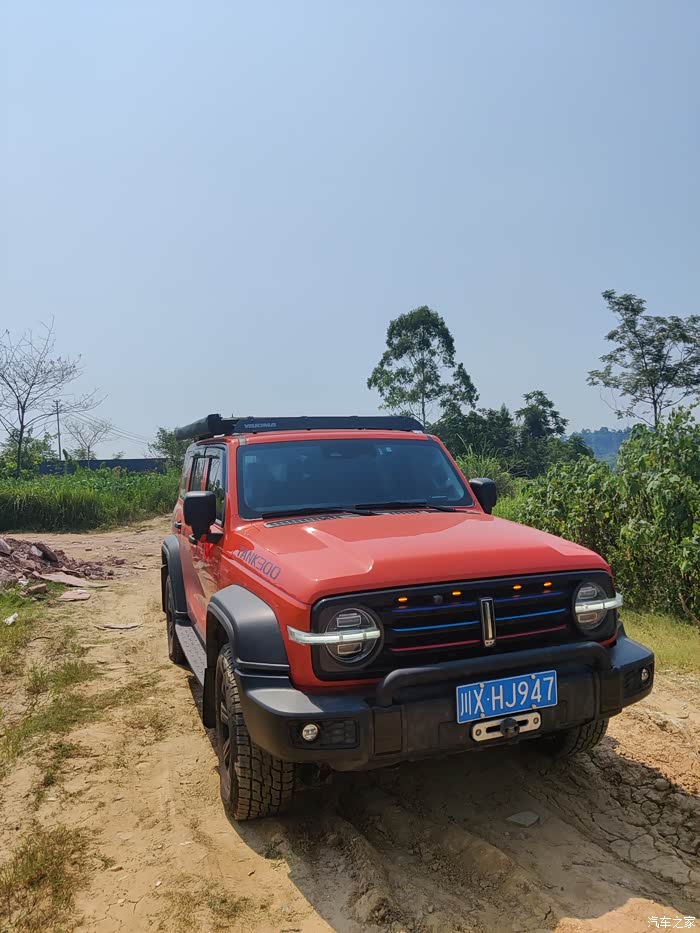 坦克已经陪我度过了第一个生日