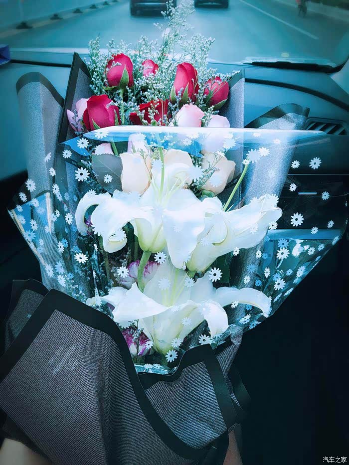 标致5008论坛_汽车之家论坛