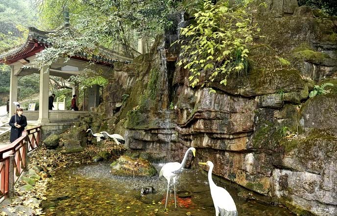 乍暖还寒的初春,周末爬岳麓山