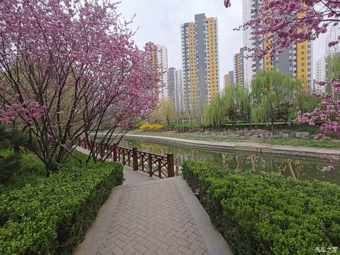 春风十里有你伴随府河公园一日游